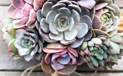 2024年11月21日动土好吗 是动土修造好日子吗 2024年11月21日动土好吗 是动土修造好日子吗