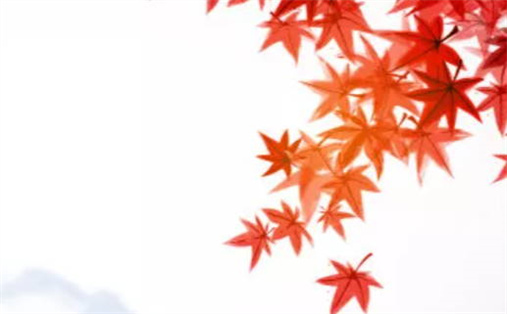 2025年农历二月初六动土好吗 宜动土修造吉日查询 2025年农历二月初六动土好吗 宜动土修造吉日查询