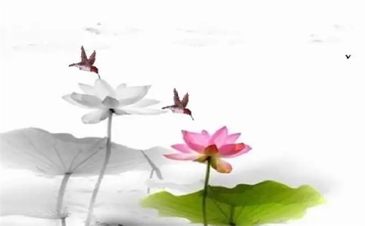 2025年10月04日动土日子如何 是建筑房屋好日子吗 2025年10月04日动土日子如何 是建筑房屋好日子吗