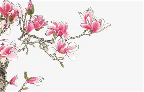 2025年农历六月十三动土日子如何 是建筑房屋好日子吗