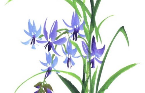 2025年农历七月十一动土好吗 宜建筑房屋吉日查询 2025年农历七月十一动土好吗 宜建筑房屋吉日查询