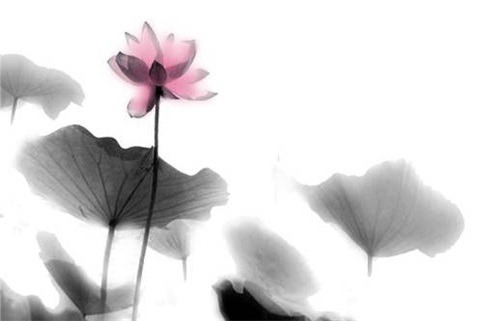 2025年01月05日动土好吗 今日动土修造好不好