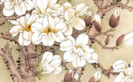 2024年09月24日是动土好日子吗 今日动土建房好吗