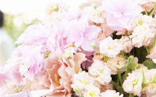 2024年农历冬月廿五结婚好不好 是办婚礼好日子吗