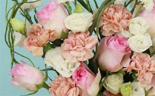 2024年农历十月三十是不是领证吉日 今日登记领证好不好