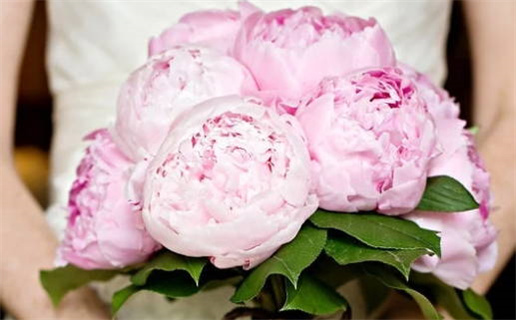 2024年农历九月十八领证日子如何 宜领证吉日查询 2024年农历九月十八领证日子如何 宜领证吉日查询