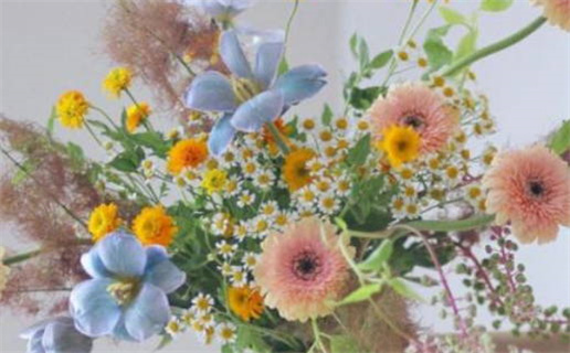 2025年农历正月十五领证黄道吉日 是领证好日子吗 2025年农历正月十五领证黄道吉日 是领证好日子吗