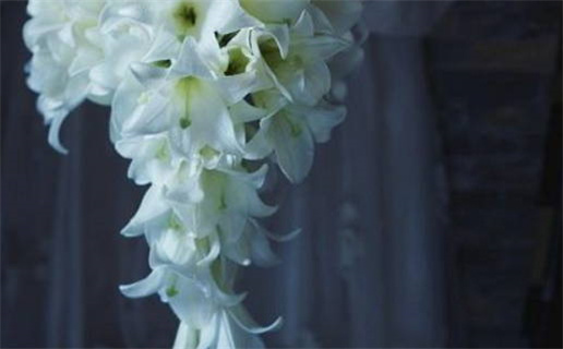 2025年农历九月初一领证日子如何 登记领证吉利吗 2025年农历九月初一领证日子如何 登记领证吉利吗