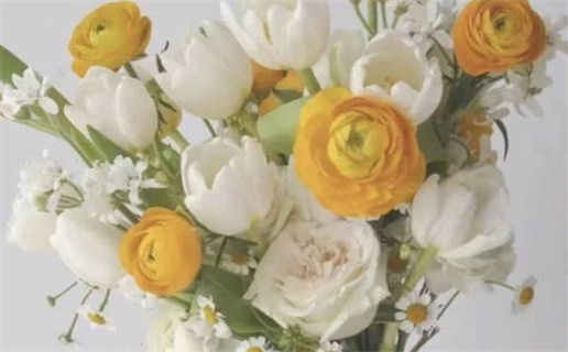 2024年农历十月廿八领证好吗 是登记领证好日子吗 2024年农历十月廿八领证好吗 是登记领证好日子吗