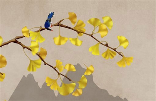 2024年农历十月初九装修好吗 今日装修开工好不好