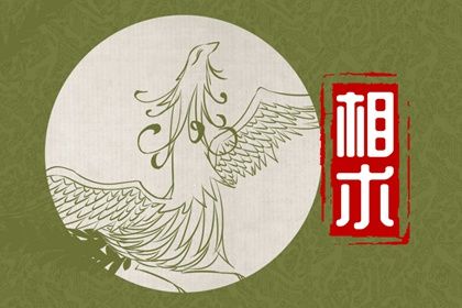 面相尖嘴猴腮解析 面相尖嘴猴腮的人怎么样 面相尖嘴猴腮解析 面相尖嘴猴腮的人怎么样