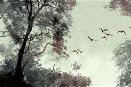 2023年三大预言 预言2023年是大灾之年 2023年三大预言 预言2023年是大灾之年