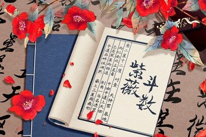 女性身主文昌什么意思 身主文昌女孩特征解析 女性身主文昌什么意思 身主文昌女孩特征解析