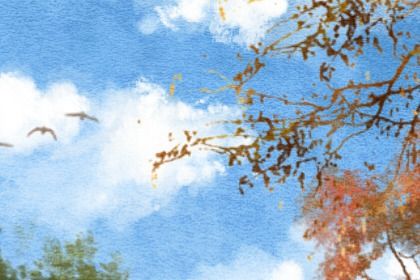 八字看命中注定的配偶 八字看配偶性格和事业 八字看命中注定的配偶 八字看配偶性格和事业