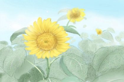 八字配对 八字分析你适合找什么样的老公 八字配对 八字分析你适合找什么样的老公