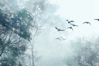 为什么大富大贵都是身弱财旺 八字身弱财多要注意 为什么大富大贵都是身弱财旺 八字身弱财多要注意