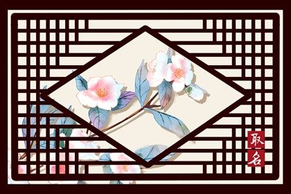 童装店取名红火的名字 做生意比较旺的童装店名字 童装店取名红火的名字 做生意比较旺的童装店名字