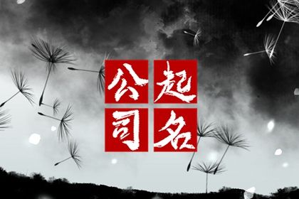 大气好听的物业公司名字大全 高端洋气物业公司名字 大气好听的物业公司名字大全 高端洋气物业公司名字
