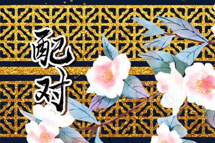 属马和猴适合做夫妻吗 属马和属猴合财吗 属马和猴适合做夫妻吗 属马和属猴合财吗