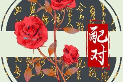 唯一可以虐水瓶的星座 白羊有着攻克水瓶的绝佳条件 唯一可以虐水瓶的星座 白羊有着攻克水瓶的绝佳条件