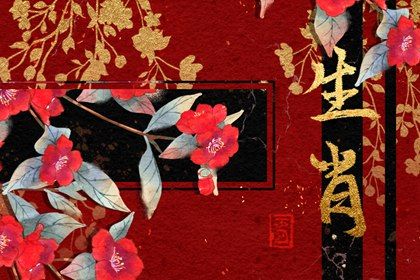 今年什么年2024生肖 2024年哪些生肖好运气 今年什么年2024生肖 2024年哪些生肖好运气