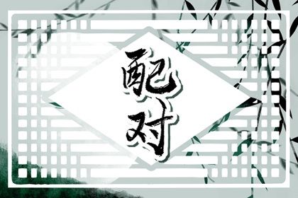 1993年和1996年相配吗 两者八字不合会出现分歧与矛盾 1993年和1996年相配吗 两者八字不合会出现分歧与矛盾