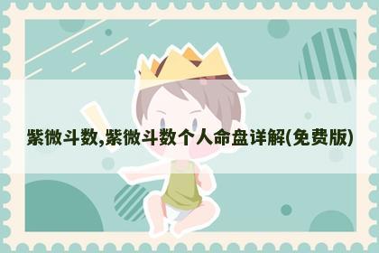 紫微斗数,紫微斗数个人命盘详解(免费版)