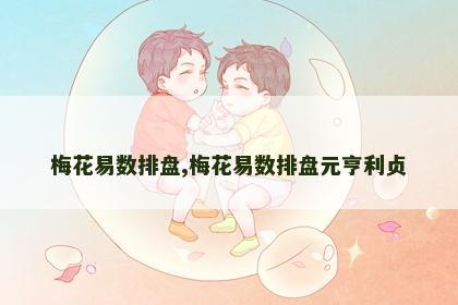 梅花易数排盘,梅花易数排盘元亨利贞