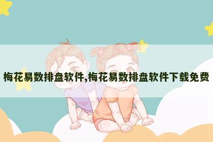 梅花易数排盘软件,梅花易数排盘软件下载免费