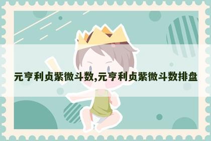 元亨利贞紫微斗数,元亨利贞紫微斗数排盘