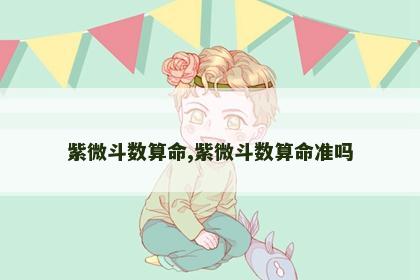 紫微斗数算命,紫微斗数算命准吗