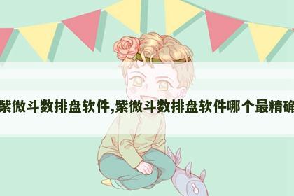 紫微斗数排盘软件,紫微斗数排盘软件哪个最精确