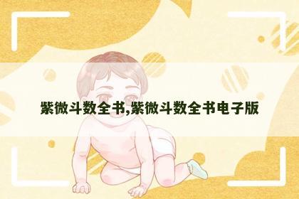 紫微斗数全书,紫微斗数全书电子版