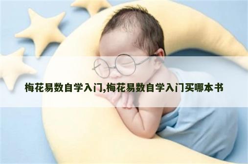 梅花易数自学入门,梅花易数自学入门买哪本书