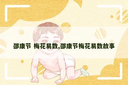 邵康节 梅花易数,邵康节梅花易数故事