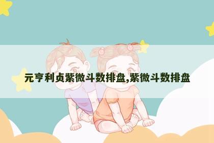 元亨利贞紫微斗数排盘,紫微斗数排盘