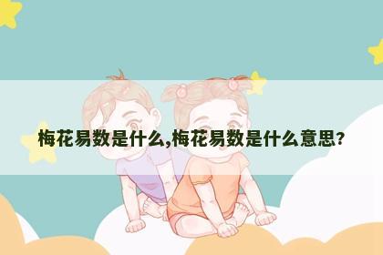梅花易数是什么,梅花易数是什么意思? 梅花易数是什么,梅花易数是什么意思?