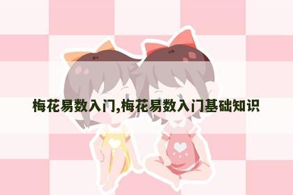梅花易数入门,梅花易数入门基础知识