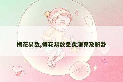 梅花易数,梅花易数免费测算及解卦