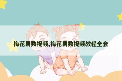 梅花易数视频,梅花易数视频教程全套