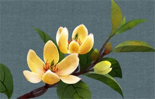 2024年农历十月初四动土好不好 动土修造吉利吗