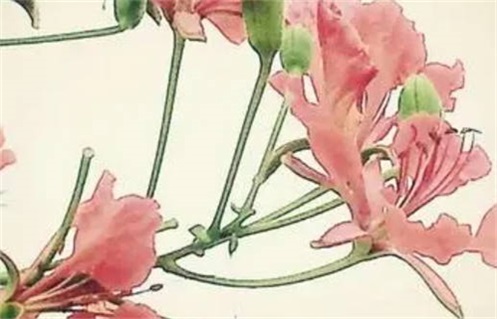 2026年01月06日动土日子如何 今日动土建房好不好