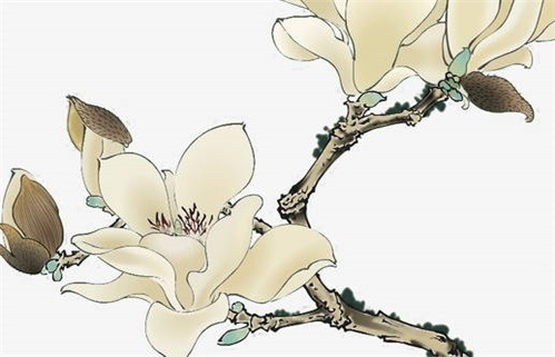 2024年农历八月廿五动土黄道吉日 动土建房吉利吗