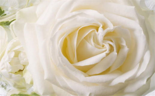 2026年农历正月初七结婚好不好 适不适合办婚礼