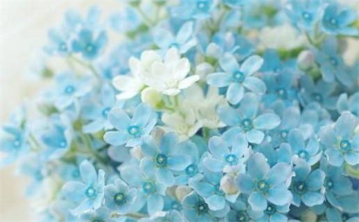 2025年农历五月初五结婚吉日查询 办喜事吉利吗