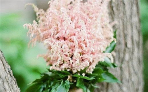 2025年03月17日领证吉日查询 今日登记结婚好吗