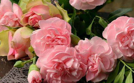 2026年02月10日领证好不好 是登记结婚好日子吗