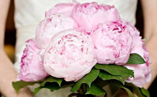 2025年农历正月初二是领证好日子吗 宜登记领证吉日查询