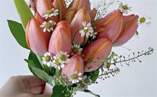 2024年09月22日领证吉日查询 今日登记结婚好吗