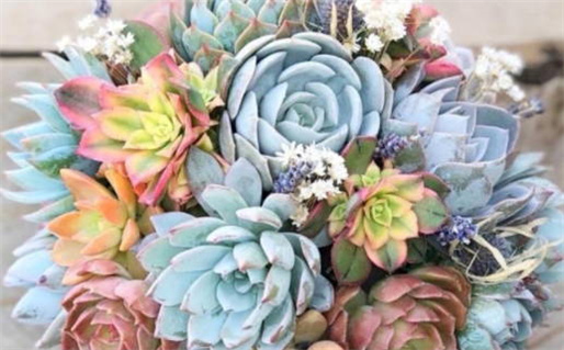 2025年农历二月初七是领证好日子吗 领证结婚吉利吗